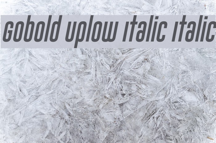 Gobold Uplow Italic Italic Font examples