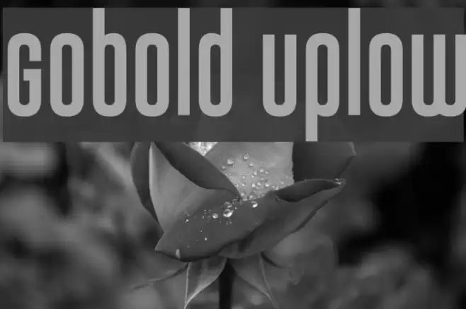 Gobold Uplow Font examples