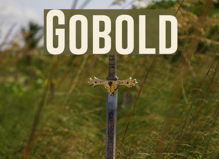 Gobold Font examples