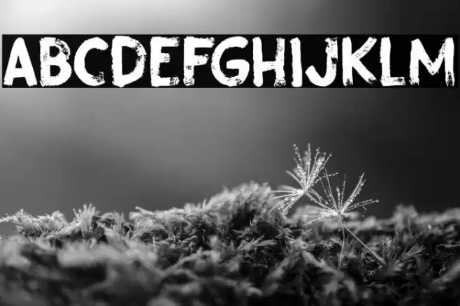 Gobsmacked DEMO Regular Font examples