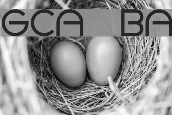 Goca logotype beta Font examples