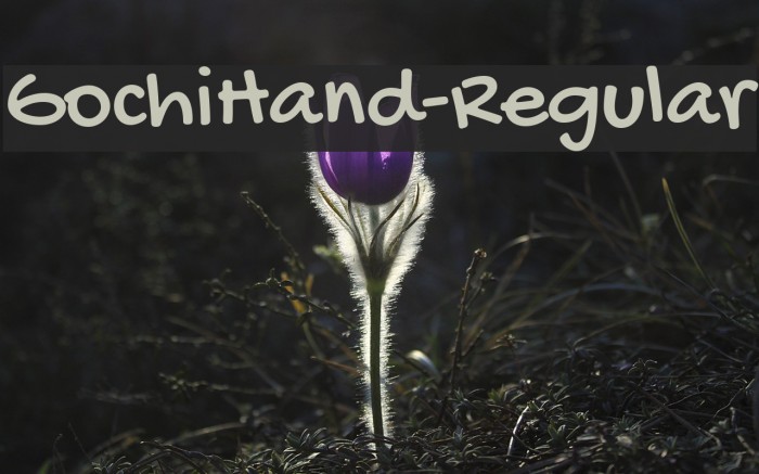 GochiHand-Regular Font examples