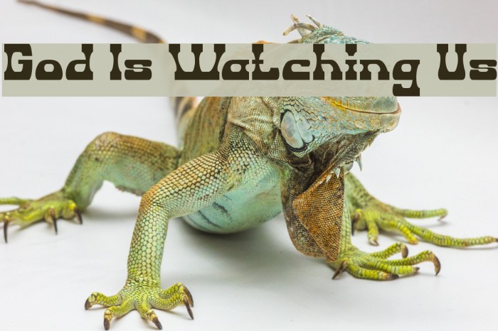 God Is Watching Us Example 1