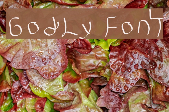 GodLy FonT Font examples
