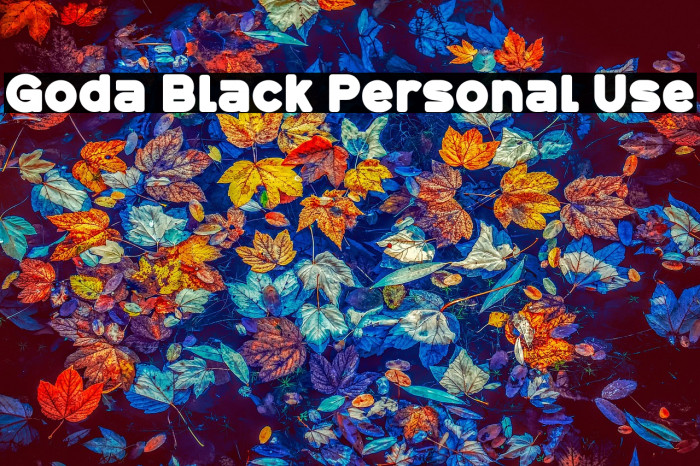 Goda Black Personal Use Example 1