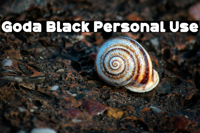 Goda Black Personal Use Example 2
