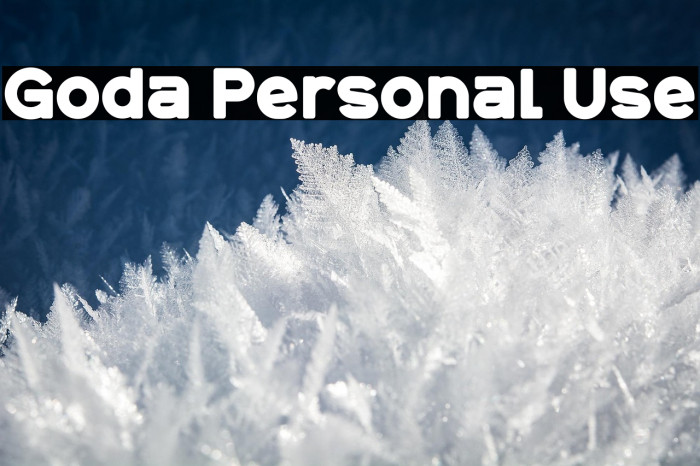 Goda Personal Use Example 1