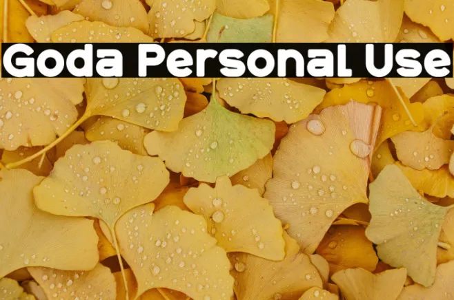 Goda Personal Use Example 3