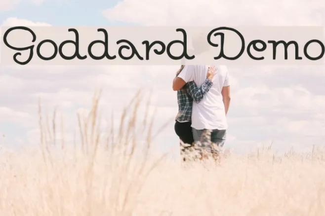 Goddard Demo Example 2