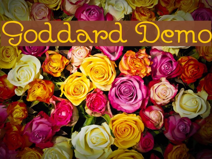 Goddard Demo Font examples