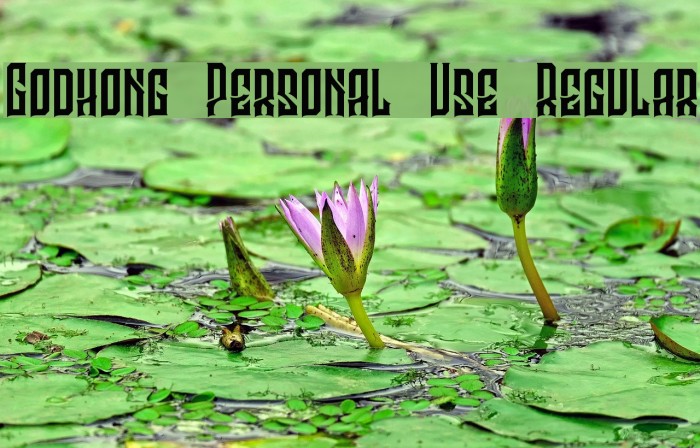 Godhong Personal Use Regular Font examples