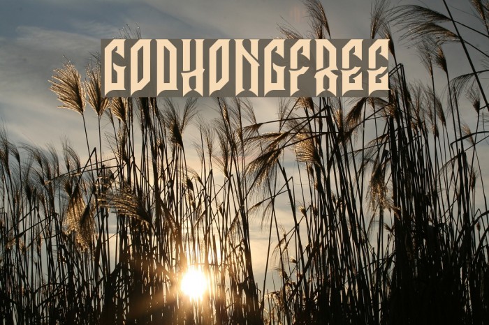 GodhongFree Font examples