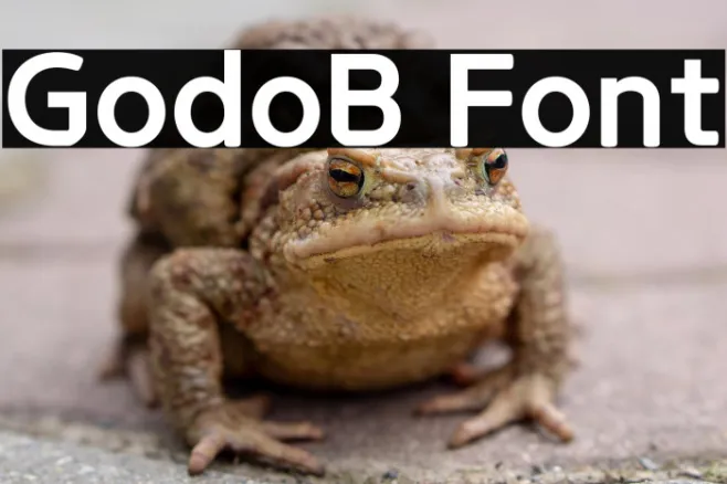 GodoB Example 1