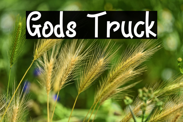 Gods Truck Example 1
