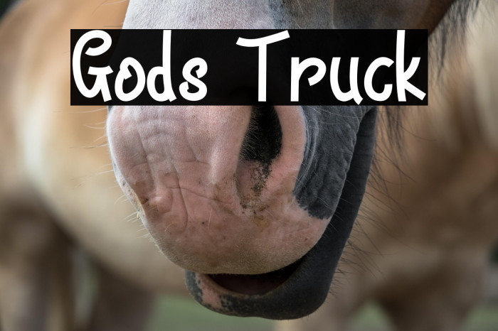 Gods Truck Example 2