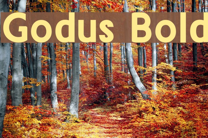 Godus Bold Font examples