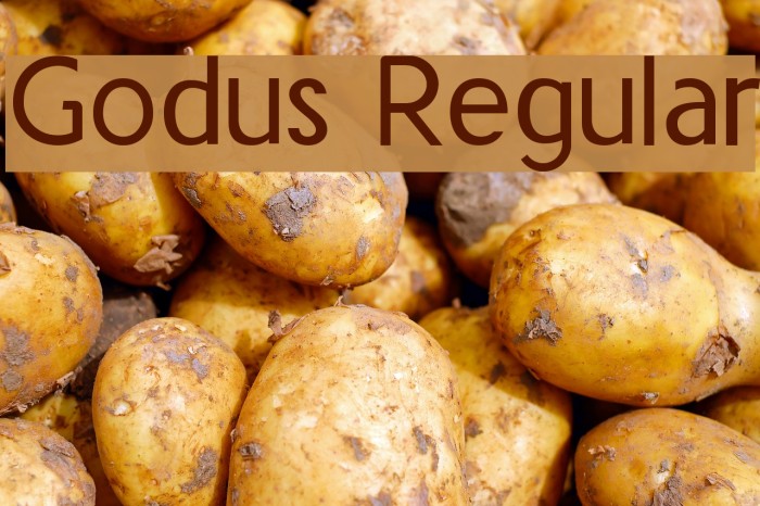 Godus Regular Font examples
