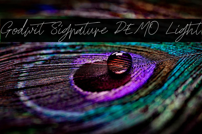 Godwit Signature DEMO Light Example 1