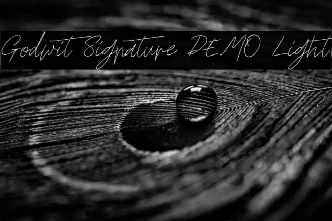 Godwit Signature DEMO Light Font examples