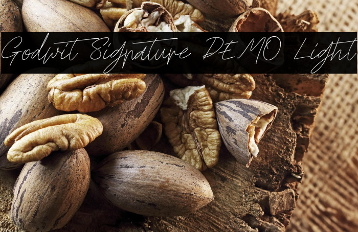 Godwit Signature DEMO Light Example 3