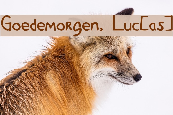 Goedemorgen, Luc[as] Example 1