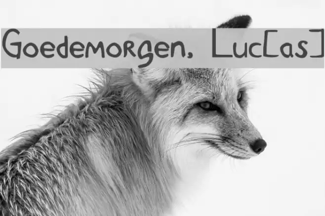 Goedemorgen, Luc[as] Font examples