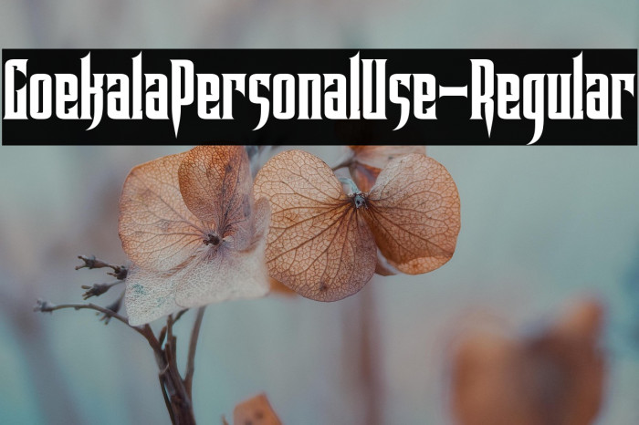 GoekalaPersonalUse-Regular Example 1