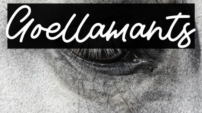 Goellamants Example 2