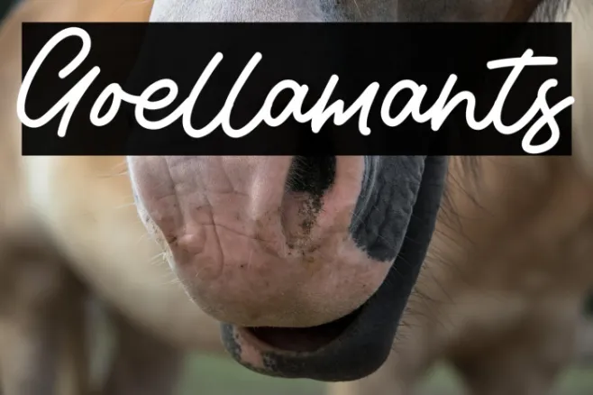 Goellamants Example 3
