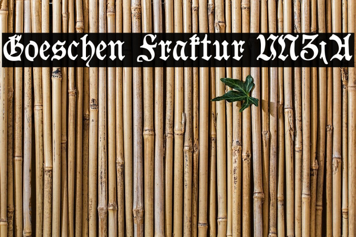 Goeschen Fraktur UNZ1A Font examples