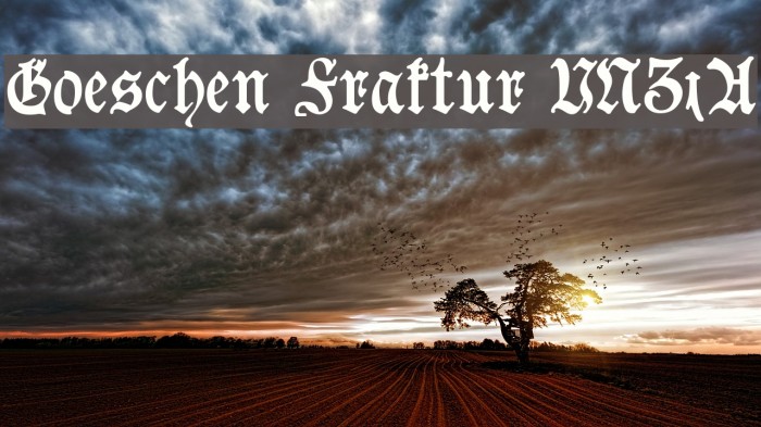 Goeschen Fraktur UNZ1A Шрифта examples