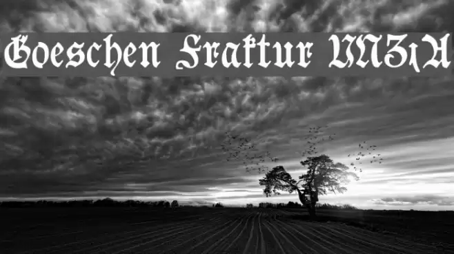 Goeschen Fraktur UNZ1A Font examples