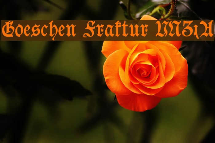Goeschen Fraktur UNZ1A Шрифта examples