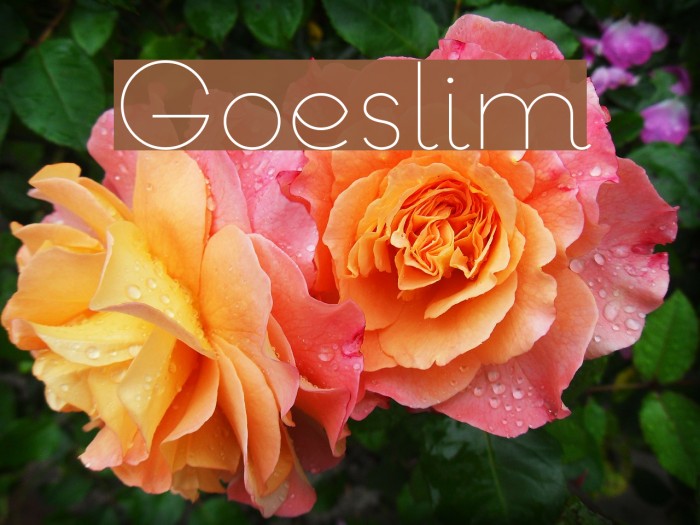Goeslim Font examples