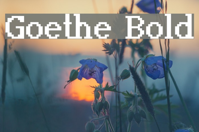 Goethe Bold Example 1