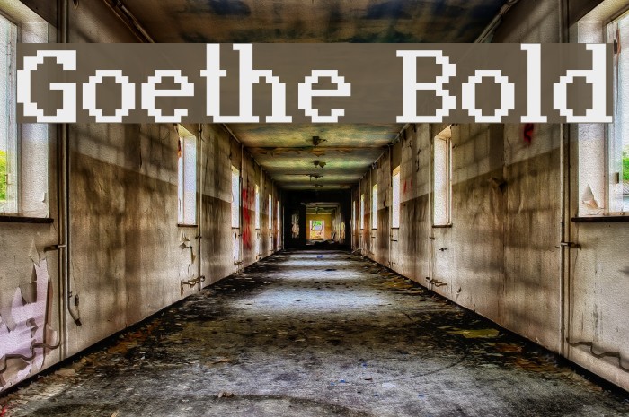 Goethe Bold Example 2