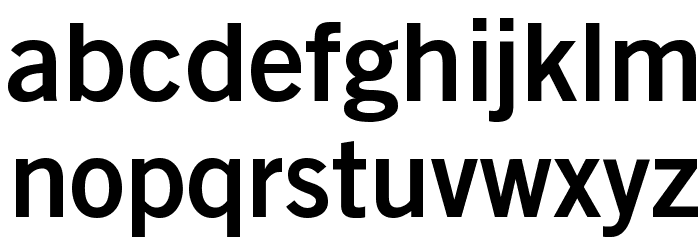 GoetheGothicBold Font LOWERCASE