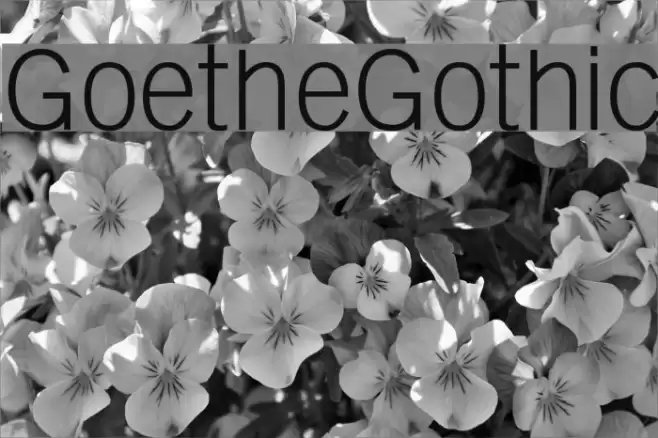GoetheGothic  examples