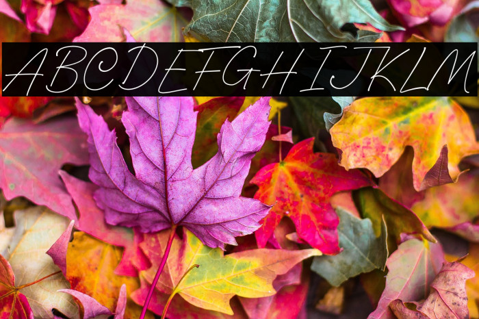 Gofar Script Example 2