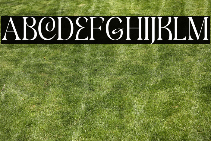 Gofar Serif - Personal Use Regular Example 1