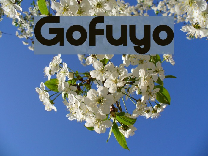 Gofuyo لخطوط تنزيل examples