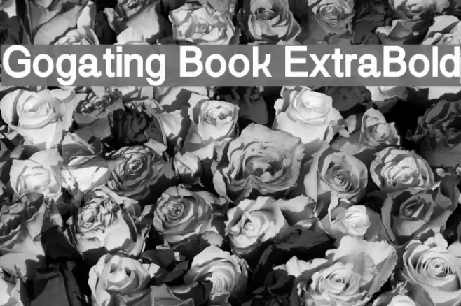 Gogating Book ExtraBold Font examples