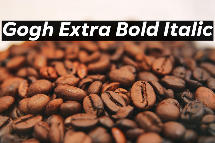 Gogh Extra Bold Italic Example 1