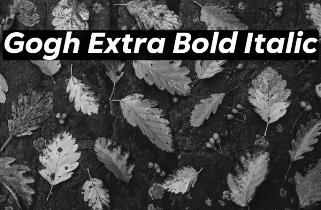 Gogh Extra Bold Italic Font examples
