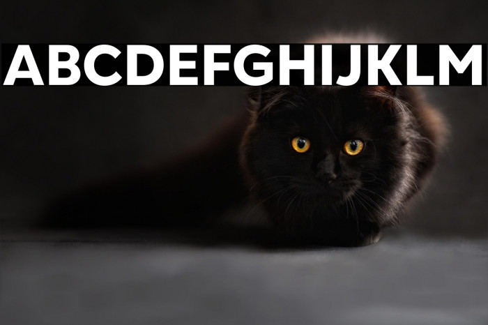 Gogh Extra Bold Example 2