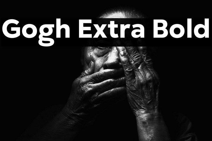 Gogh Extra Bold Example 3