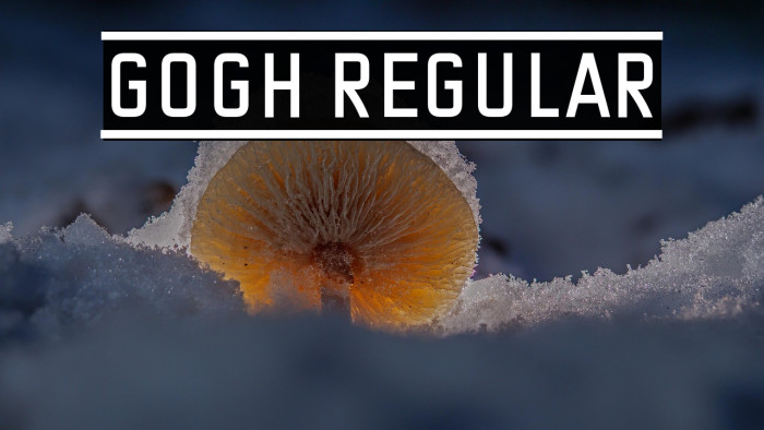 Gogh Regular Example 1