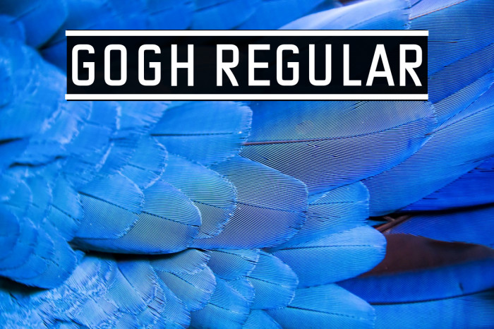 Gogh Regular Example 3