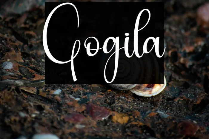 Gogila Example 1