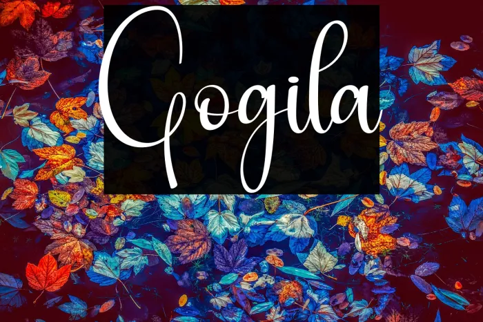 Gogila Example 2